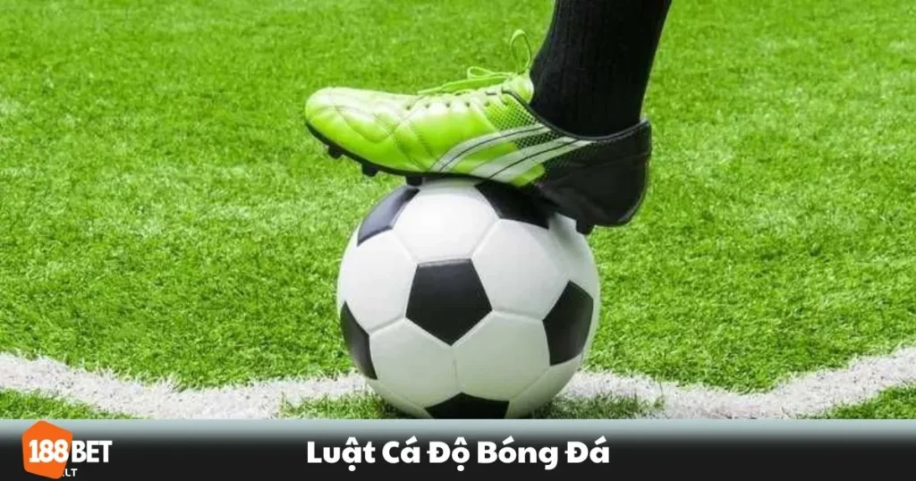 Luật Cá Độ Bóng Đá 188bet: Những Điều Người Chơi Cần Biết