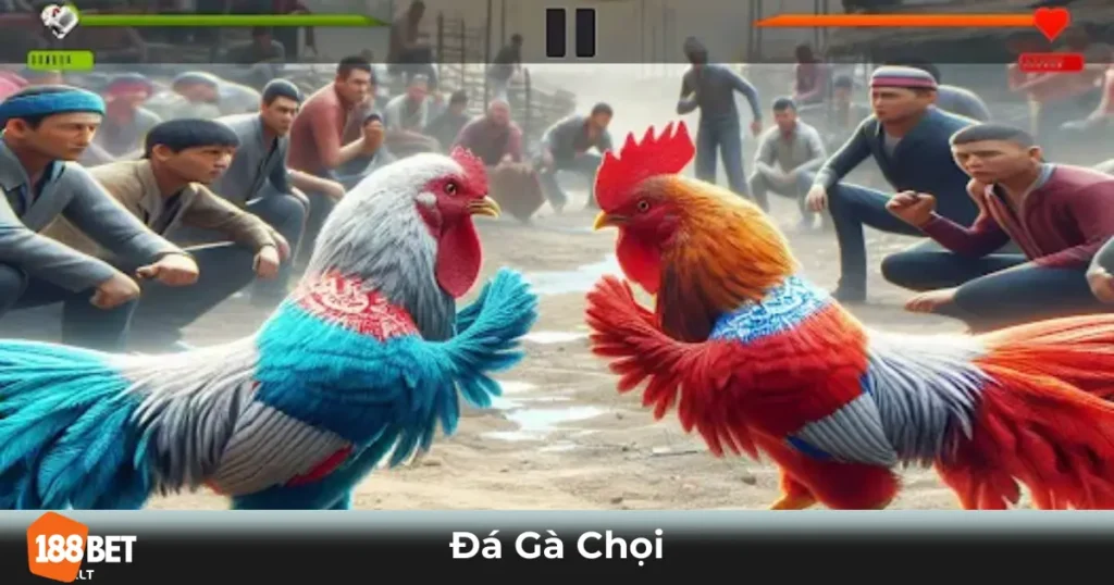 Đá Gà Chọi Là Gì? Cách Đặt Cược Tại 188bet