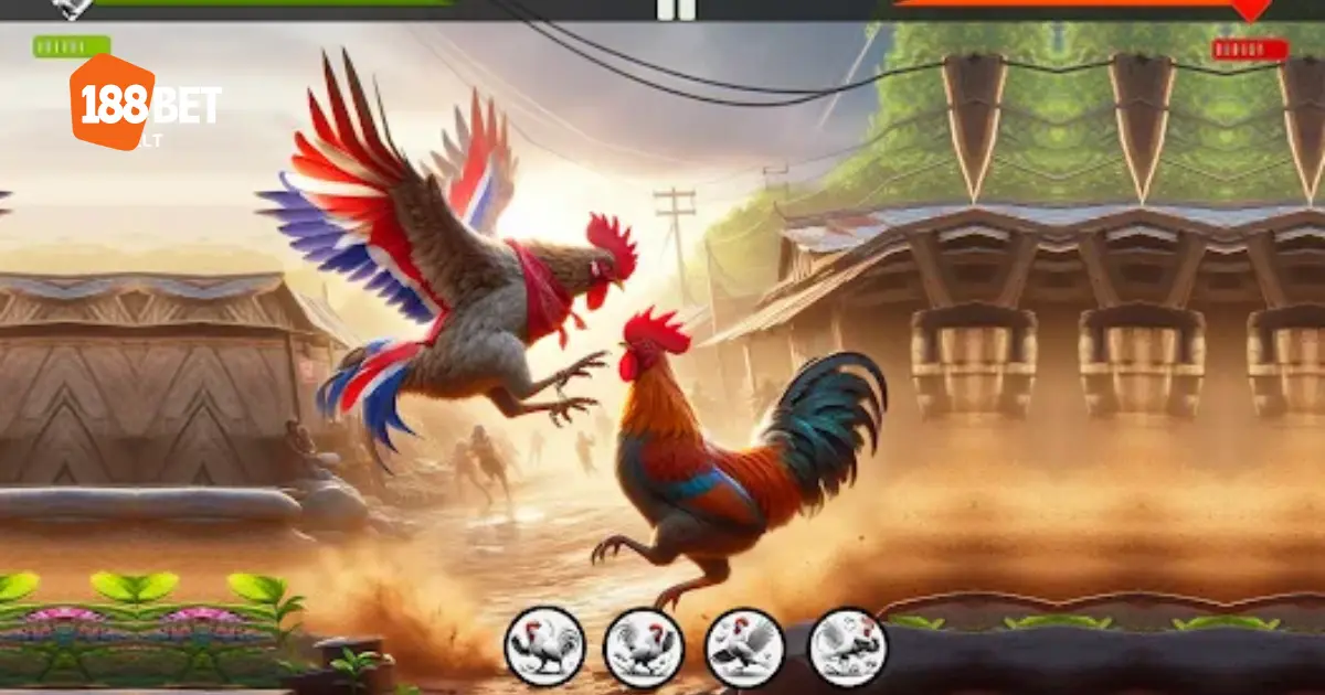 Các trường gà chọi uy tín được phát sóng trực tiếp