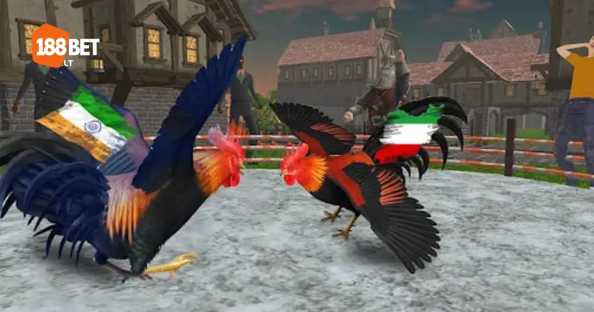 Khi nào nên đặt cược vào chiến kê cửa trên hoặc cửa dưới?