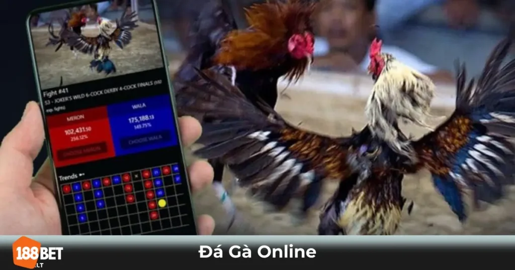 Đá Gà Online Là Gì? Cách Tham Gia Cá Cược Tại 188bet