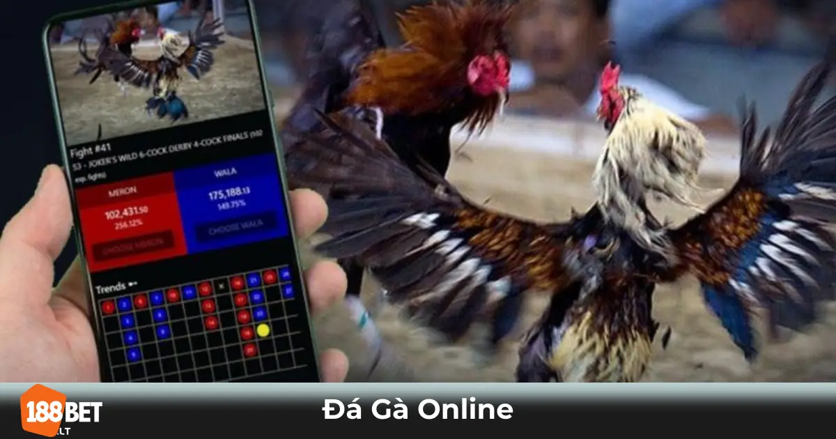 Đá Gà Online Là Gì? Cách Tham Gia Cá Cược Tại 188bet